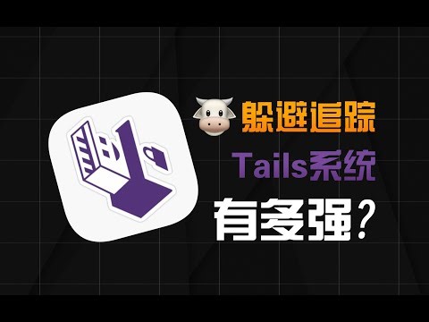 能避免国安局追踪的系统，Tails系统有多强？