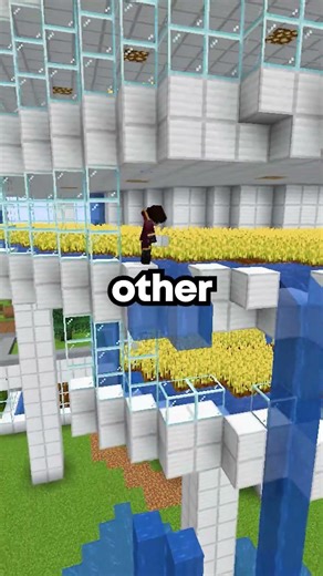 What NOT to Do On My Minecraft Server #minecraft #server #smp