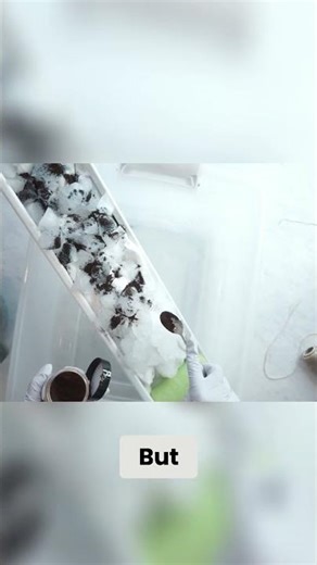 Light Hand Tie Dye Trick for Split Colors #tiedye #diy