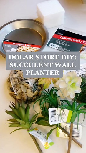 DIY Succulent Wall Planter Under $10!
