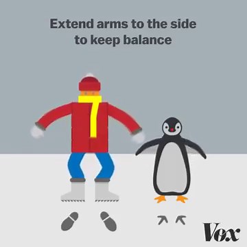 The best tip to avoid wiping out on the ice? Walk like a penguin. | Vox