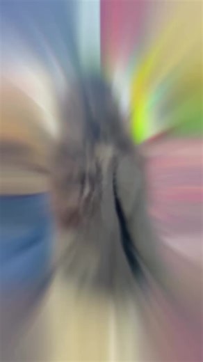 Celebrating Diversity at the Trade Fair in Afghanistan