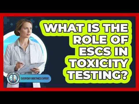 What Is The Role Of ESCs In Toxicity Testing? - Everyday Bioethics Expert