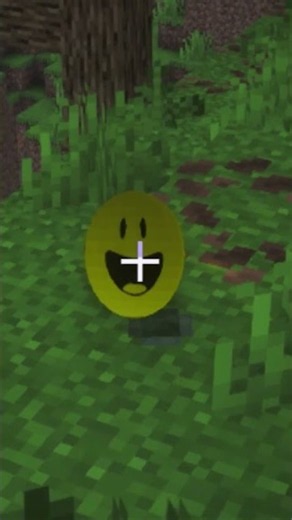Minecraft Verity Mod Sings BUTCHER VANITY 🎵