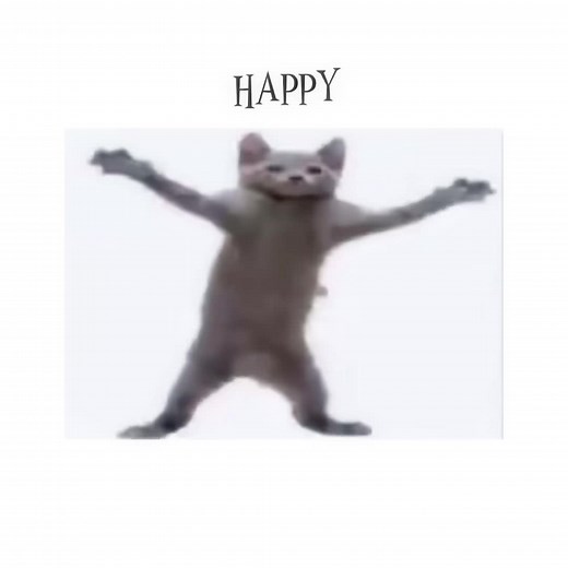 Cat Dancing Videos - Cute Animals Happy Dance Compilation