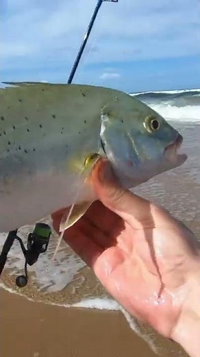 Fishing of shore South Africa