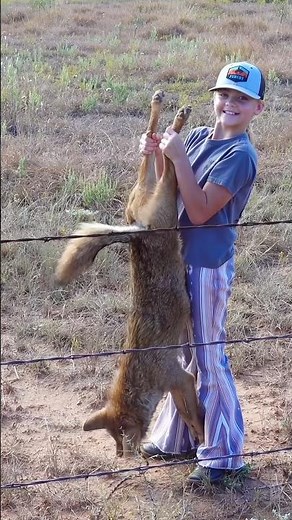 Her first daytime coyote hunt! #hunting #wildlife #wildanimals #animals #foxpro #nature #mfk
