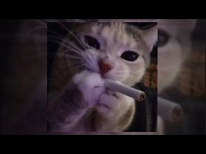 Sped/slowed audios I would marry 💍