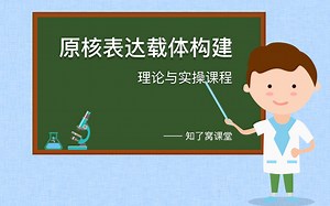 PCR的基础与实战