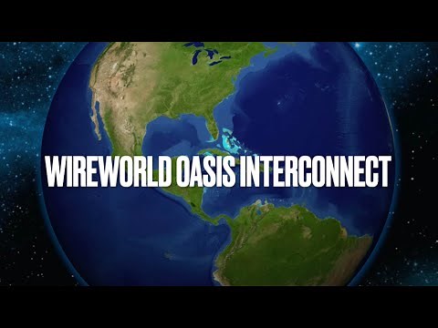 Wireworld Oasis 8 Audio Interconnect Cable