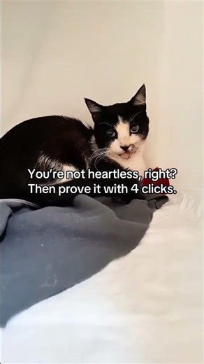 What a relief to see him finally pain-free. He’s doing so much better after surgery