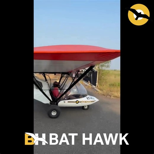 1K views · 37 reactions | A Bat Hawk soaring through open skies —...