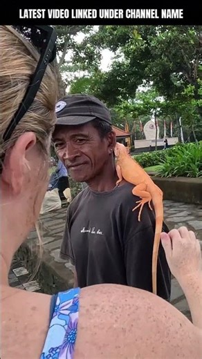 🇮🇩 Only in Bali: A Giant Snake Raised as a Pet Since Birth!
