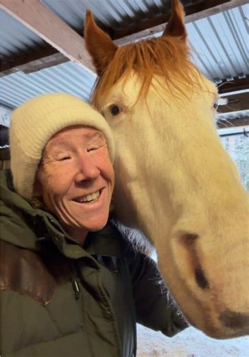 Creating a Facebook Page for Your Horse