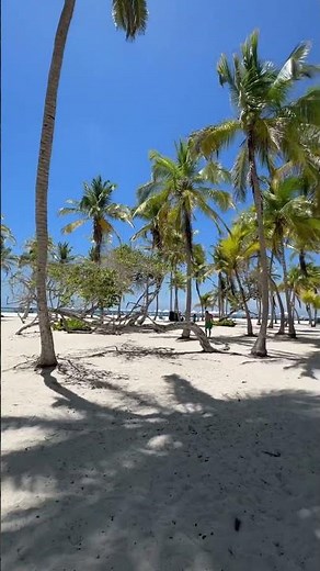 Venezuela's Beaches: A Paradise Waiting to Be Explored