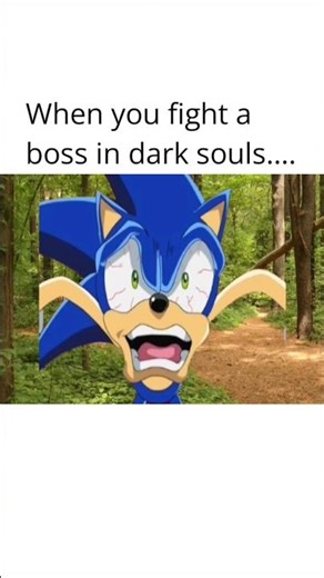 WHEN YOU TRY TO FIGHT A BOSS IN DARK SOULS #relatable #memes #funny #clips #sonic