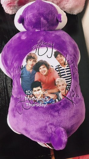 1D x Pillow Pet Crossover Memories