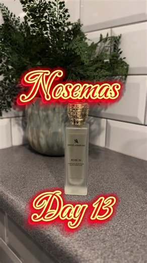 nosingaround on TikTok