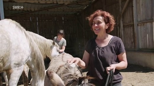 Lecker aufs Land: Auf dem Biomilchbetrieb von Elke Haas (S13/E01)