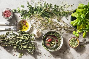 10 Bitter Herbs and Their Healing Benefits | LoveToKnow Health & Wellness