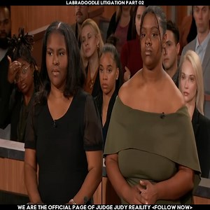 Labradoodle Litigation Part 02 | Judge Judy Reaility