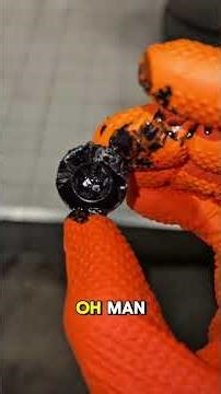 What the HELL is this?