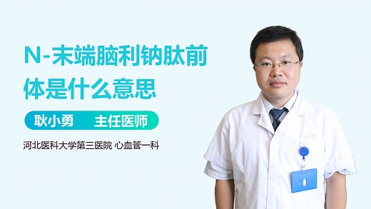 N-末端脑利钠肽前体是什么意思_有来医生
