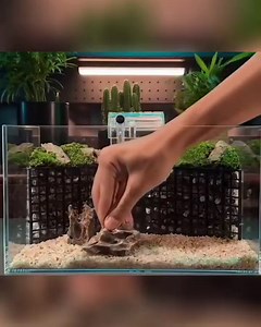 1.3M views · 10K reactions | Time to setup another tank^^ . . ....