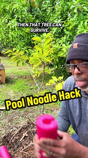 Innovative Pool Noodle Hack for Tree Protection