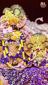 Jai Jai Radhavallabh Shri Harivansh 🙏🏻 #shriradhavallabhji #vrindavan