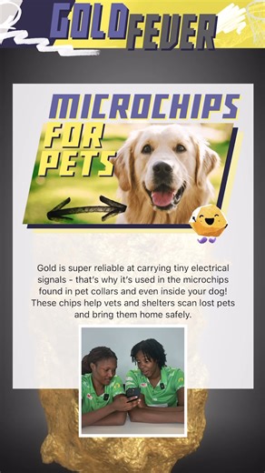 3.7K views · 43 reactions | GREEN ARMY ARE YOU READY TO WIN? Our Principal Partner, Gold Industry Group, is bringing the gold rush to RAC Arena with Gold Fever giveaways at every home game!  ️ Go into the draw to win a Merch pack! PLUS, each entry puts you in the running for the ultimate grand prize – a $1,000 gold nugget, a signed team netball, and a 2026 Emerald Membership!  Don’t miss your chance, enter now!  www.goldfever.net.au | West Coast Fever | Facebook