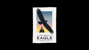 🦅Adventures in Eagle Territories: Methods for Conducting Eagle Research🦅 Join Avian Education Intern Ashlee as she takes a deep dive into one of her favorite topics; Eagle Research. Not only is the National Eagle Center a hub for eagle education but is also the home the "Golden Eagle Project"! | National Eagle Center