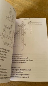 Bird Crossword Puzzle Book: Large Print Brain Game for Seniors & Teens - Etsy