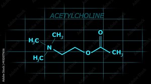Acetylcholine or ACH Molecular Structure Symbol Neon Animation on with grid background Stock Video