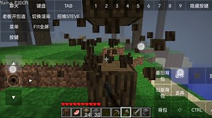 阴间版本 minecraft SEX 我的性别世界