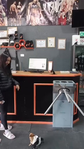 Integrasolutions on Instagram: "La primera impresión de tu negocio no ocurre en el mostrador, ocurre aquí. ⚡️ Ese sonido del torniquete liberándose en milisegundos es el resultado de miles de líneas de código trabajando para que la experiencia de tus clientes sea impecable. Nada de filas, nada de fricción, solo acceso inteligente. Con nuestro software, el control de acceso deja de ser una barrera para convertirse en la alfombra roja tecnológica de tu establecimiento. Automatizamos la validación 