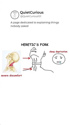 Heretics Fork Explained #hereticsfork #explained #Shorts