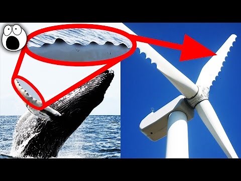 Amazing Technologies Inspired by Nature