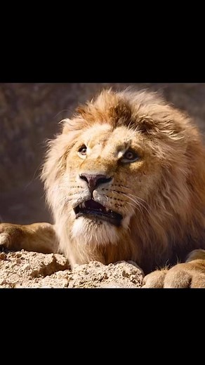 Simba lost his father right in front of his eyes. So sympathetic #fypシ゚viralシfypシ゚viralシalシ #fypシ゚ #viralchallenge #thelionking #mufasa #lioncubs #simba | SM Global Prince Film Production