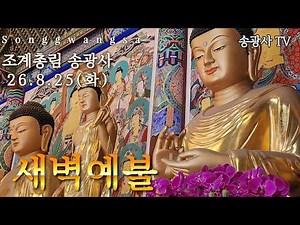 송광사 새벽예불 26.8.25