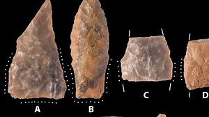 28K views | These 15,550-year-old spear points found in Texas are believed to be the oldest weapons ever in North America. https://bit.ly/2qcB4ca | USA TODAY Video | Facebook