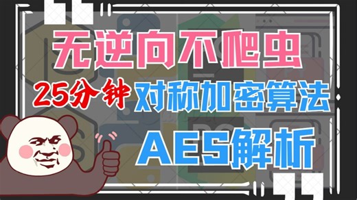 AES算法从原理到实战：解析分组密钥与多轮运算，逆向还原网页数据加密