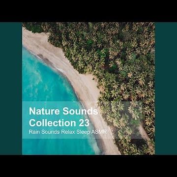 Dead Leaves Rustle Sound (낙엽잎 바스락거리는 소리)