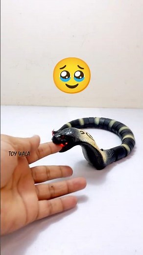 Best RC Snake Prank Toy 2026! (Unboxing & Review)