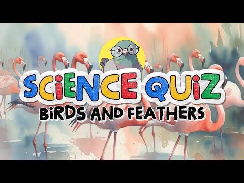 Birds Quiz: Test Your Wings! 🦜Noob → Guru Challenge!