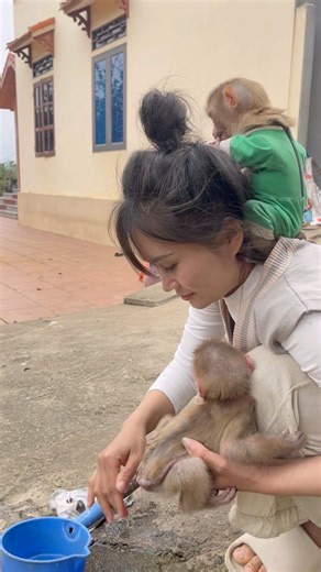 The baby monkey pooped in its pants. I helped it clean it up.🫣