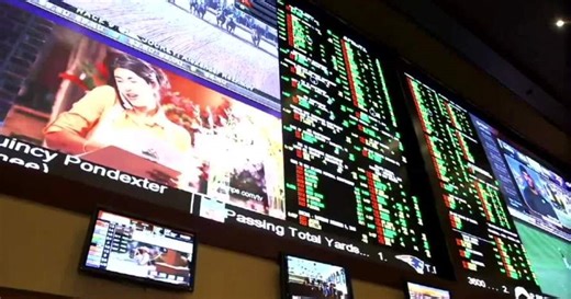 Documents show Florida problem gambling hotline funds flow from nonprofit to for-profit company