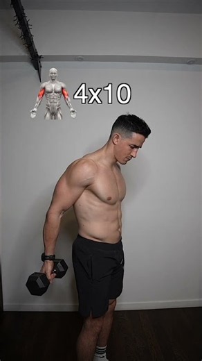 How to build bigger biceps home workout !! 💪