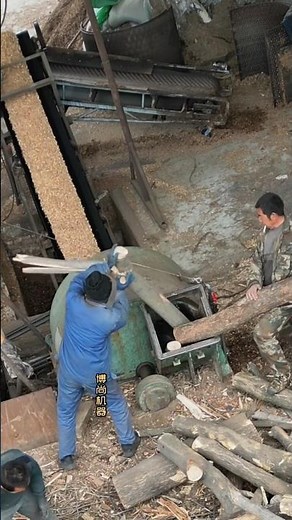 Wood chipper working video (first person perspective)