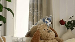 Blue Female Budgie Looking Himself Mirror Stock Footage Video (100% Royalty-free) 3807027161 | Shutterstock